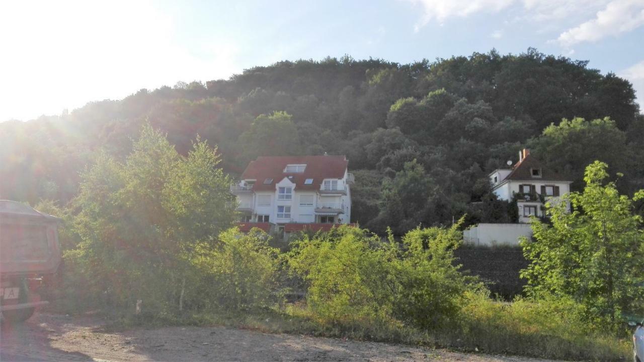 Ferienwohnung Anita Annweiler am Trifels Zewnętrze zdjęcie
